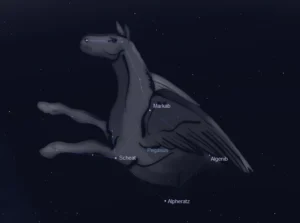 Pegasus Là Gì? Huyền Thoại Và Bí Ẩn Của Chòm Sao